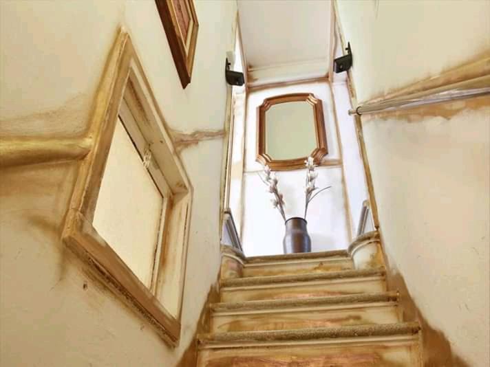 venice paradise Bed & Breakfast